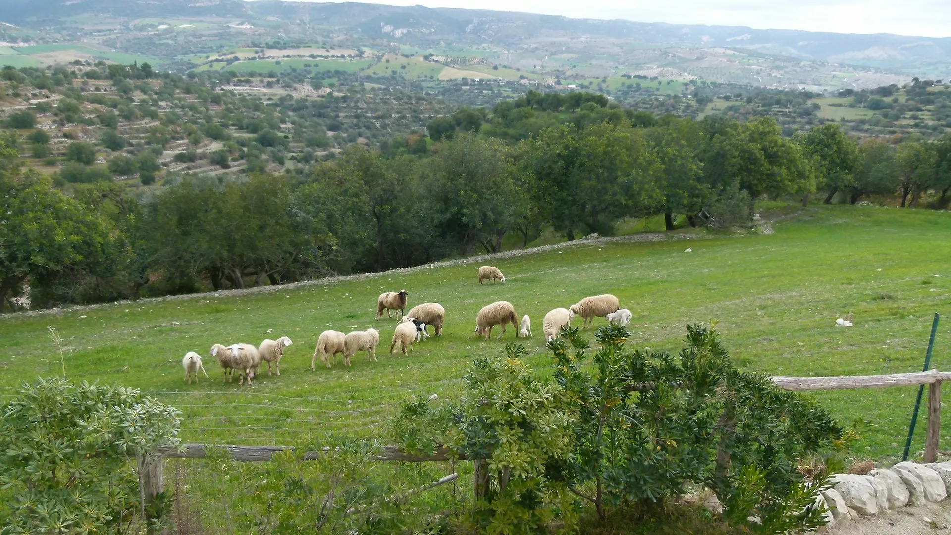 Agriturismo Villa Gaia Modica
