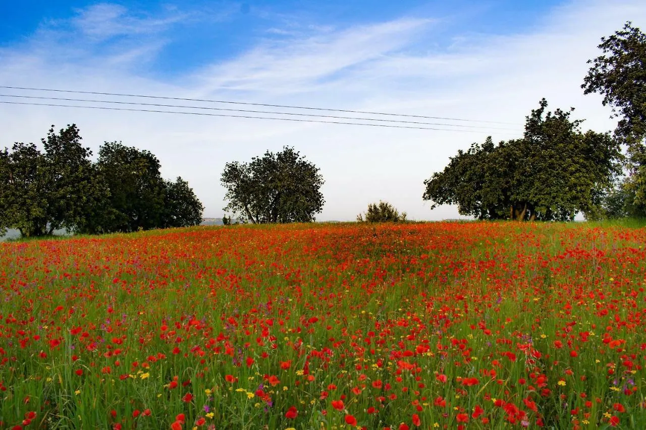 Agriturismo Villa Gaia Modica